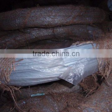 Electro Galvanized Wire From Beijing Manufacturer