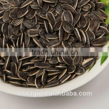 New crop Sunflower seeds, American type 24/64, 5135