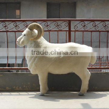 Realistic Taxidermy Replica Figurine life size artificial goat model