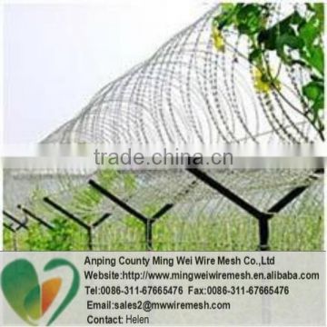 Protective razor barbed wire Tile type razor wire made in China(Anping factory)