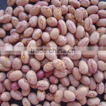 Light Speckled Kidney Beans,Huanan Round