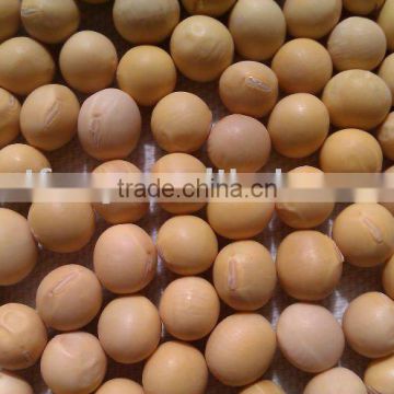 Organic Chinese Yellow Soybean