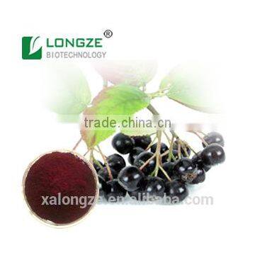 Natural and Aronia Chokeberry Fruit Powder