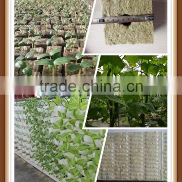 China Rockwool Cubes For Agriculture and Hydroponic System