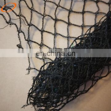China export HDPE anti bird net Hyderabad for horticulture