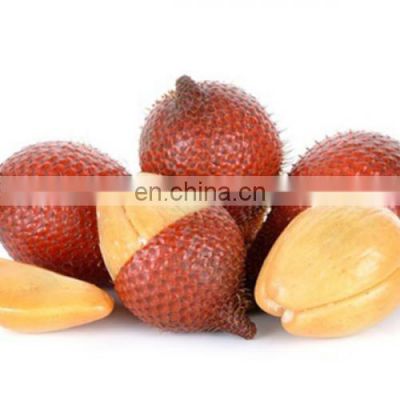 WHOSALE SWEET AND SOUR SALAK/SALACCA/ZALACCA FTUIT MADE IN VIET NAM