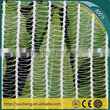Guangzhou Agriculture HDPE Vegetable And Fruit Protection Anti-hail Net