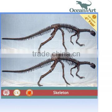 Museum Simulation Dinosaur Fossil Replica for Sale