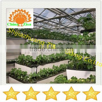 agricultrural vertical cultivation growing box in greenhouse