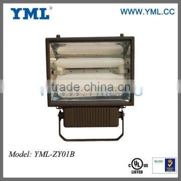 Induction Lamp projector 80W