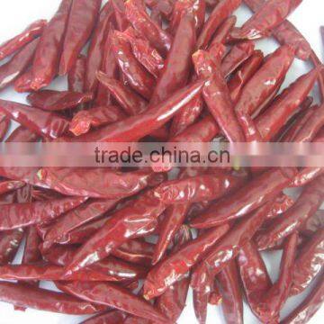 driy Chili red