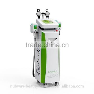 fat freezing Cryo lipolysis weight control machine for solon use