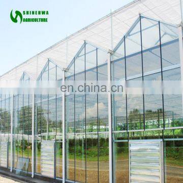 2018 China Hydroponics Tomato Greenhouse