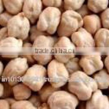 Chickpeas 42 Count