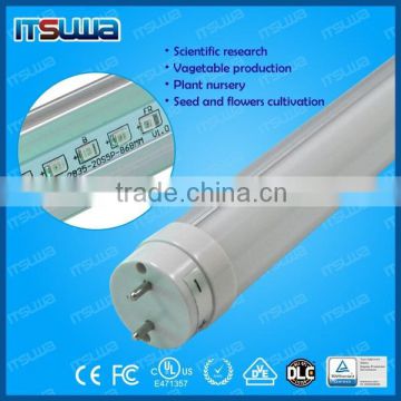 Constant lighting T8 led grow light tube with 5 years warranty