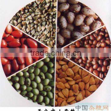 Mung Bean Color Sorting Machine Angelon Beans Color Sorters for Seperating Good and Bad Beans +0086 18010879708