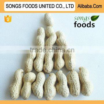 Chinese Raw Peanuts In Shell For Sale