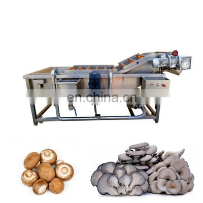 Industrial Fruit Cleaning Processing Machine Vegetable Bubble Washing Machine