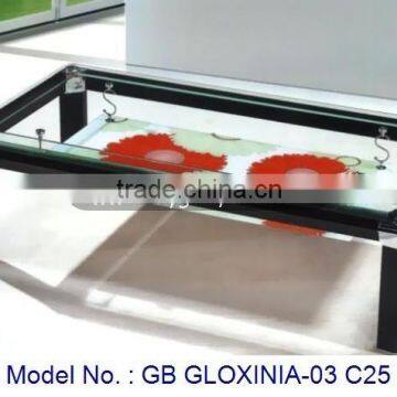 Coffee Tables, Glasstop Coffee Table, Living Table, Glass Furniture