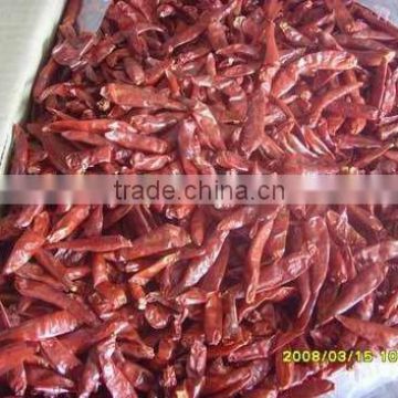red dried chili