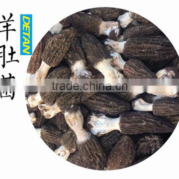 Dried Morchella Esculenta Made in China