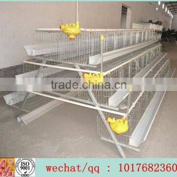 High quality layer farm chicken cage for sale