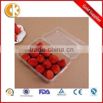 Rectangular transparent 250g Fruit storage box sealed plastic fresh fruit container with lid