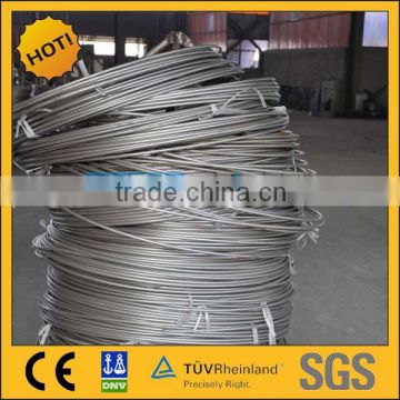 bright annealed stainless steel seamless Coil tube