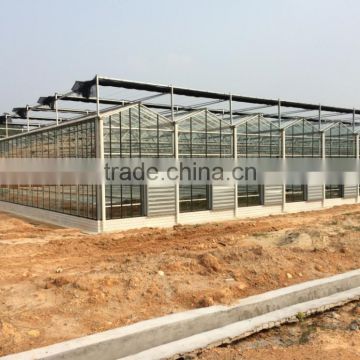 Prefabricated agriculture steel structure greenhouse
