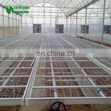 Commercial Fold Up Work Metal Benches In Mango Greenhouse