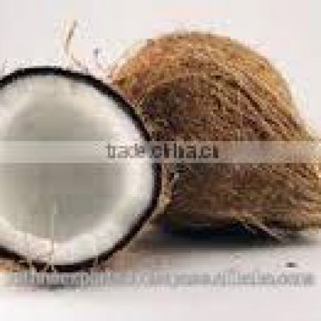 Fresh and quality supplier for coconut