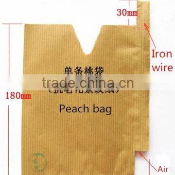 Fruit protection bag mango Peach /Kiwi fruit