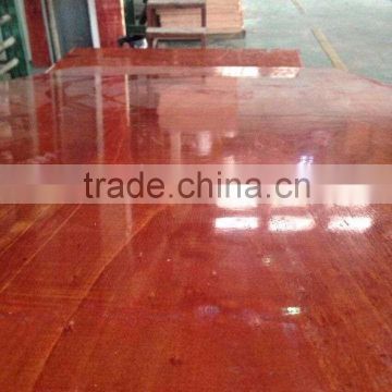 China eucalyptus plywood for the constuction