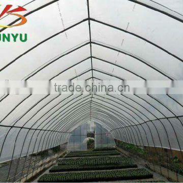 Agricultural plastic tunnel greenhouse