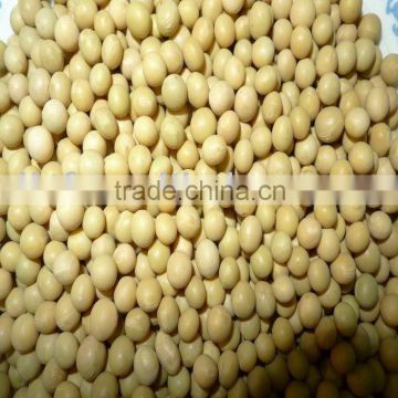 Non-Gmo yellow soybeans/soya bean 2010