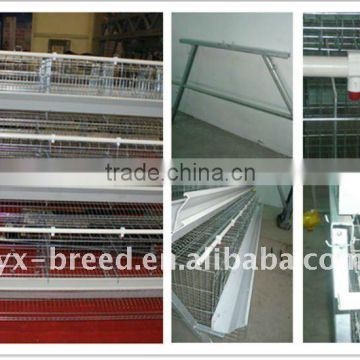 competetive price poultry shed for layer cage