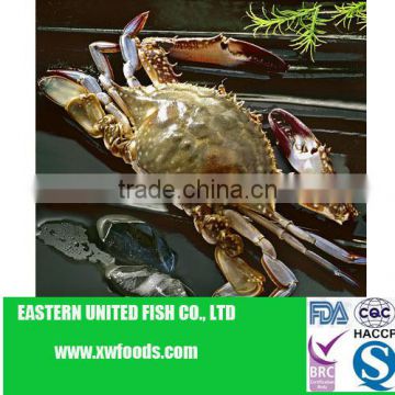 whole round blue swimming crab
