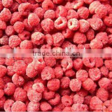 Frozen dried red raspberry fruit