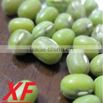 Green mung bean