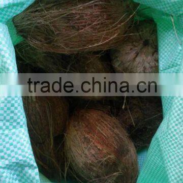 A Grade 25000 piece fresh fruit-fresh coconuts is available for UAE Buyers