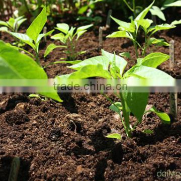 vermicompost organic fertilizer