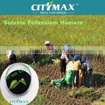 100% Natural Green Water Soluble humic fertilizers high in potassium