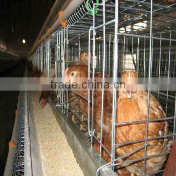Galvanized Chicken Laying Cage