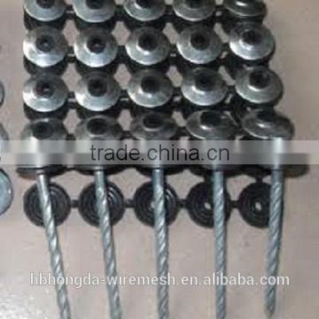 hot sale ,competitive price umbrella head roofing nail (factory and export)
