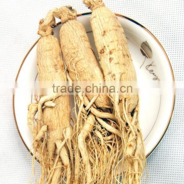 Changbaishan Organic White Ginseng with Tail