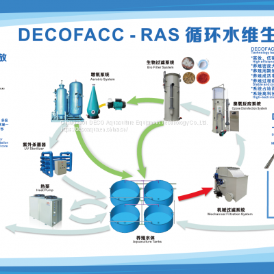 DECO RAS Recirculating aquaculture system for indoor fish farm