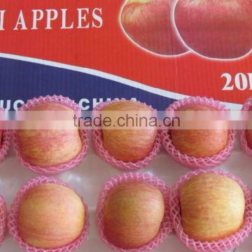red maturity apple fuji price 2016 fuji apple exporters china