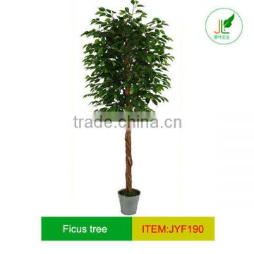 artificial Ficus Tree with real wood