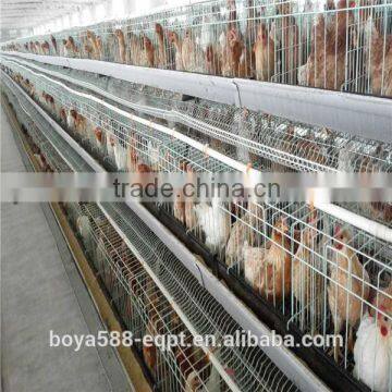 Ladder Type Automatic pullet Chicken Brooding Cage For Sales For Nigeria Farm