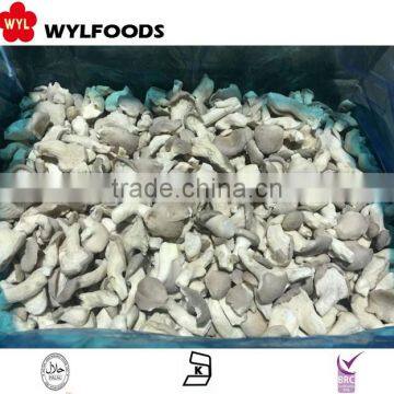 frozen oyster mushroom price with high quality